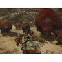 Jogo Monster Hunter Wilds Playstation 5