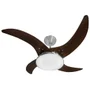 Ventilador Led Carvalho Tabaco 4 Pás 110v