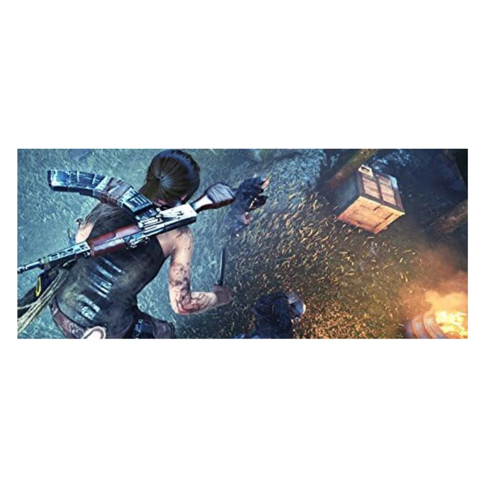 Jogo Rise Of The Tomb Raider 20 Year Celebration Ps4 Eur
