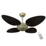 Ventilador Volare Offpetalo Quad 110v Controle Remoto