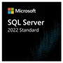 Microsoft Sql Server 2022 Standard Edition 32 Core Brazilian - Mídia Física