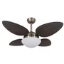 Ventilador De Teto Volare Petalo Palmae 110v