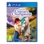 Jogo Wildshade: Unicorn Champions Ps4 Europeu
