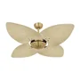 Ventilador De Teto Dormamu Dourado Office 4 Pás Palmae Natural 110v
